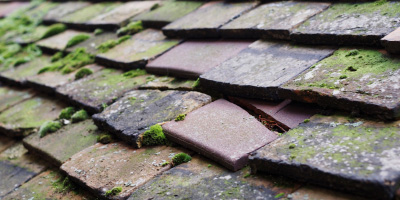 Chappel roof repair costs